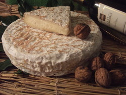 Le Brie de Melun