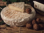 Le Brie de Melun